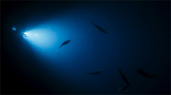 海洋下1万多米 发现了人类作恶的证据（海洋之下）
