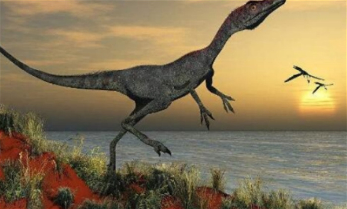 世界上体型最小的恐龙 和西方的火鸡差不多大（小恐龙）