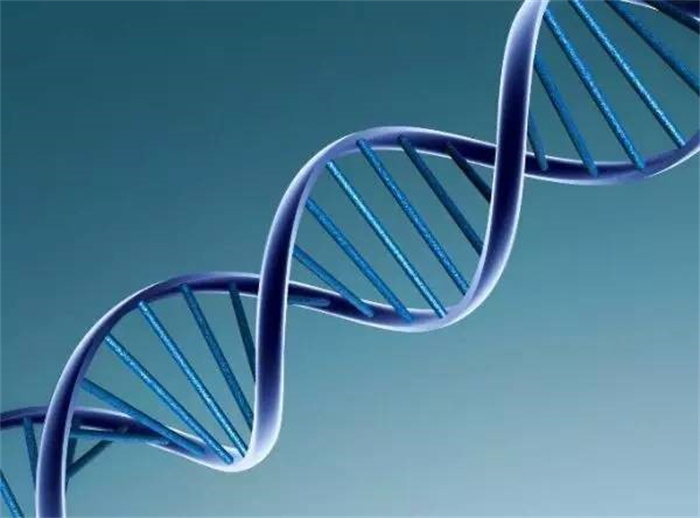 人类成年礼可能与基因修饰有关 我们是否被基因“调控”