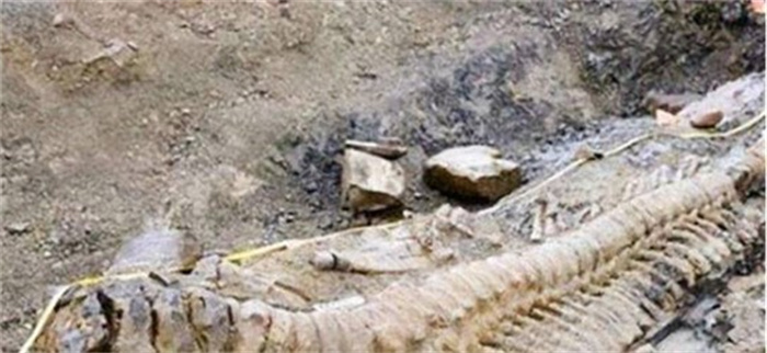 古墓挖出“巨龙” 距今超6000年 考古家：龙的存在铁证如山