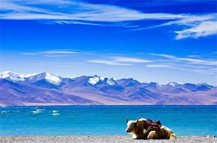 西藏那么多湖为什么没人钓鱼？鱼被视为河流的守护神