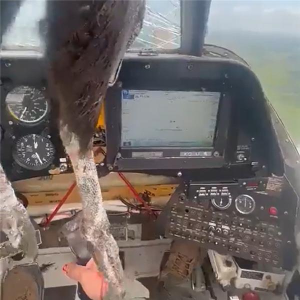大鸟撞穿飞机挡风玻璃 残骸嵌入机身：飞行员仍淡定驾驶