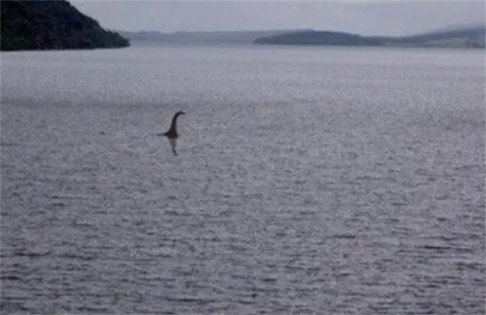 网友再次拍到尼斯湖水怪，目测体长达9米，官方是怎么解释的？