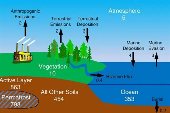 马里亚纳海沟持续吸入海水，海平面却未下降，是什么原因造成的？