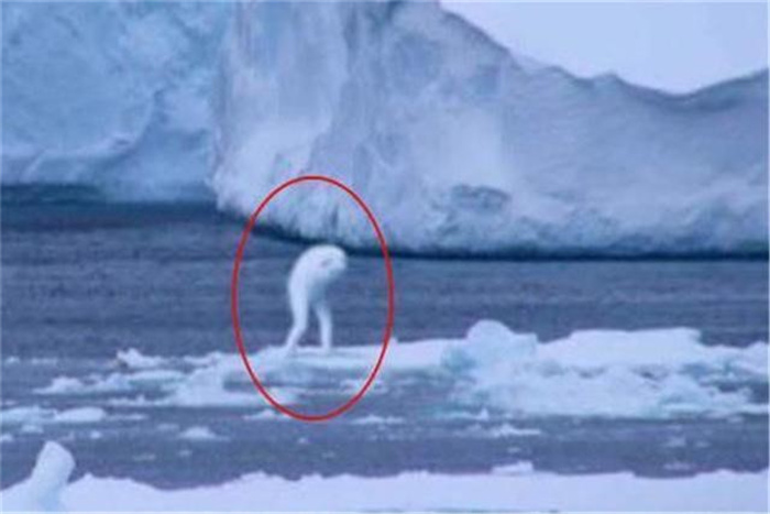 南极冰下发现“金字塔” 神秘建筑的出现 与外星文明有关吗