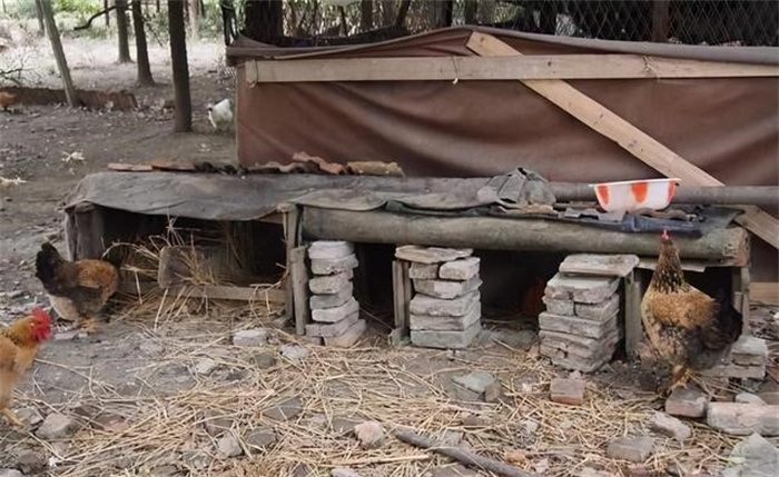 2008年一村民翻盖鸡窝  挖出一石碑  考古队激动：等了十几年