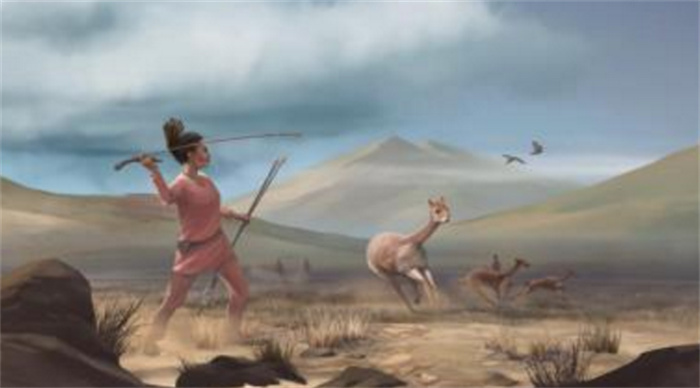 考古中发现的优秀猎人 有过半都是女性（女性猎人）