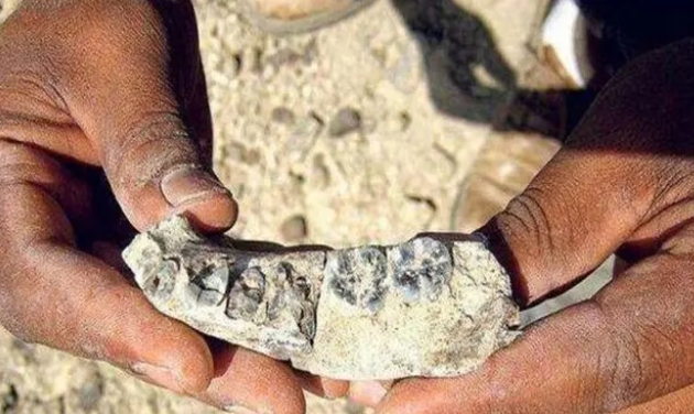 人类在38亿年前就出现了？人骨化石是怎么忽视？这是真的吗？