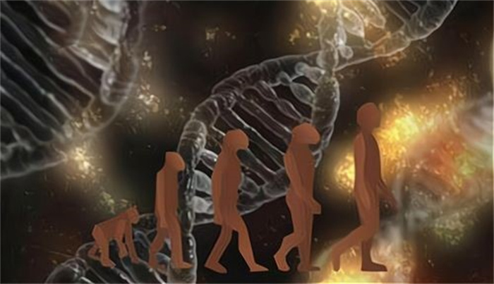 人类还在进化吗  科学家在手臂中发现：不仅进化还在加速