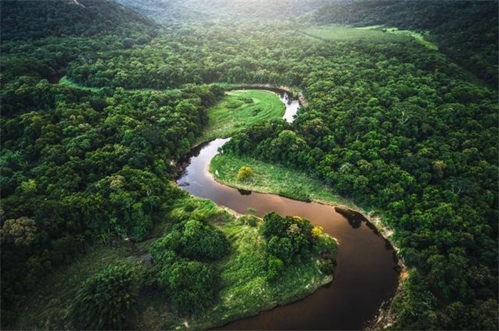 亚马逊雨林变为碳源  气候与人为双重威胁  变暖加速已成定局