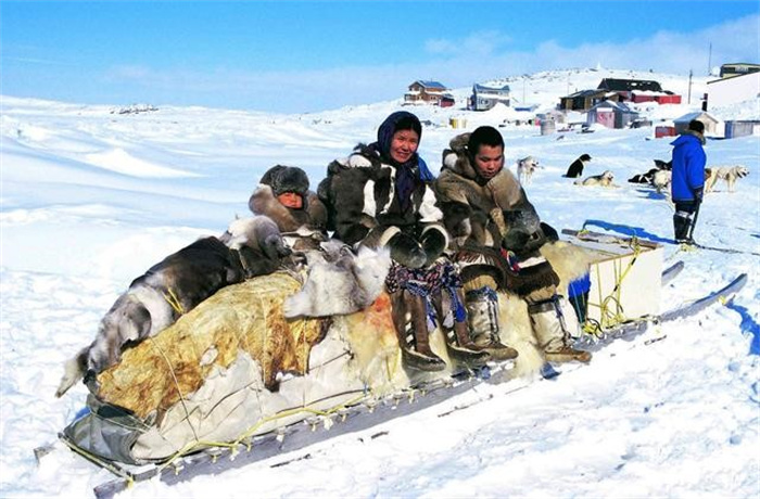 面对零下五十度的极端低温 食用生海豹肉 因纽特人如何生活