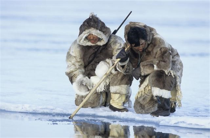 面对零下五十度的极端低温 食用生海豹肉 因纽特人如何生活