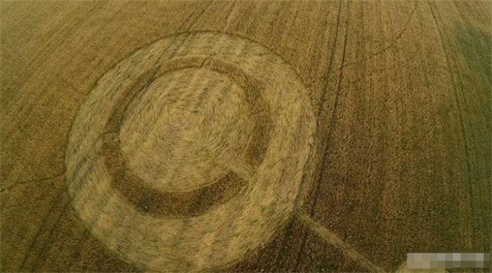 2015年居民目击UFO悬停在田野上方。早上他们发现了一个农田图案