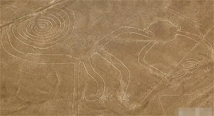 距今25000年的地画揭示人类起飞秘密，谁曾想只有坐飞机才能看到