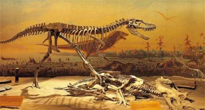 第一只患有癌症的恐龙，科学家在它的腿骨上，发现不同之处！