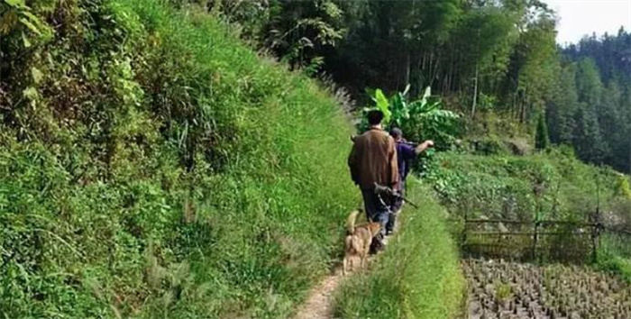 时隔百年！罕见“蛇鸟”重现云南，吞鱼像嗦粉，反常北迁或非好事