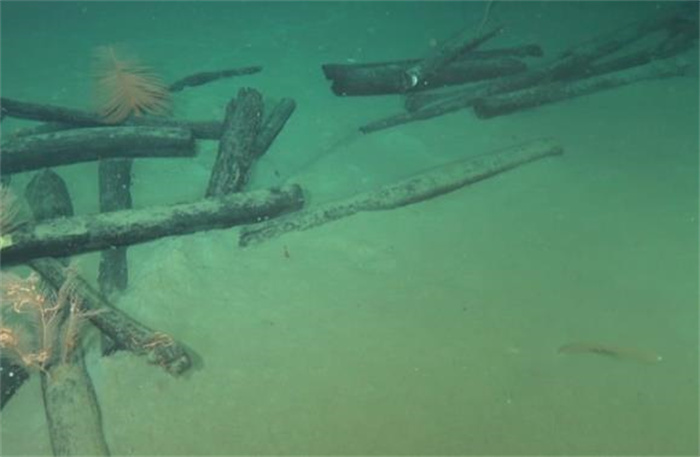 壮观！我国“深海勇士”南海挖出一船“阴沉木”，为何能值2万1斤