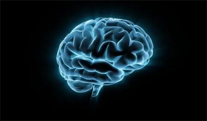人类的大脑逐渐缩小 是不是智力也会下降（人类智力）