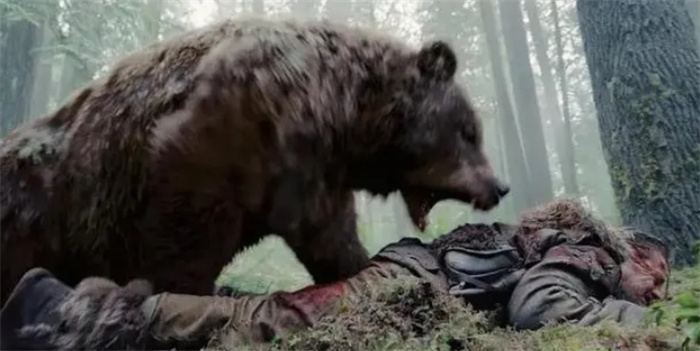 可怕！云南男子遭黑熊群袭击，杀伤力有多大？“装死”真能自救？