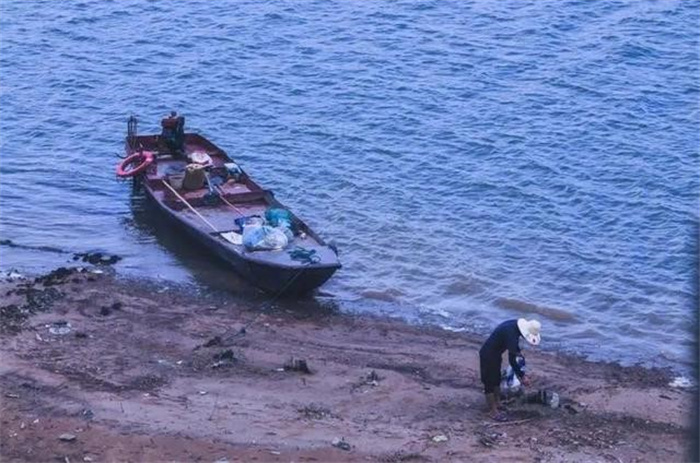 1小时捡200斤 广东一夜突现遍地生蚝 台风刮的 官方建议别吃