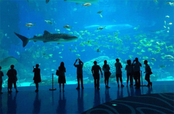 世界上最大的室内游泳池 日本人的海洋巨蛋（最大泳池）