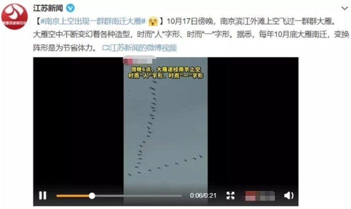 宜昌上空出现巨型鸟阵！网友：是地震“天锤象”，究竟怎么回事？
