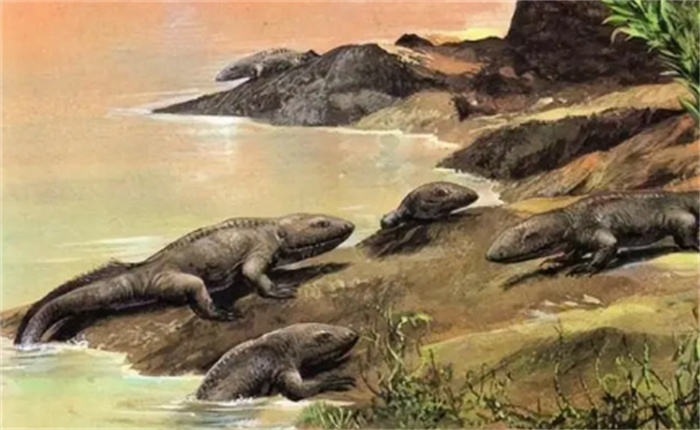 地球陆地生物和两栖生物的祖先  生活在泥盆纪的鱼石螈  率先登岸