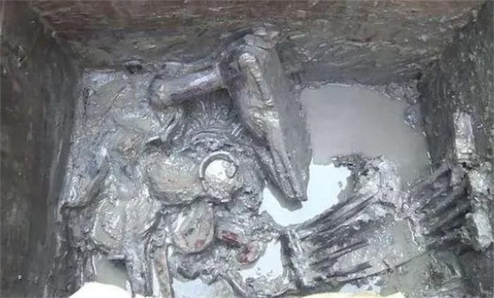 2014年，考古队发掘一座楚墓，发现一个不一般的“小鱼干”