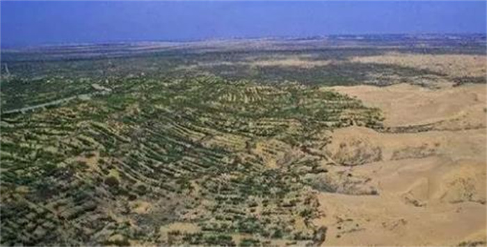 沙漠为什么会吸收二氧化碳？如果把沙漠变成森林会更好吗？