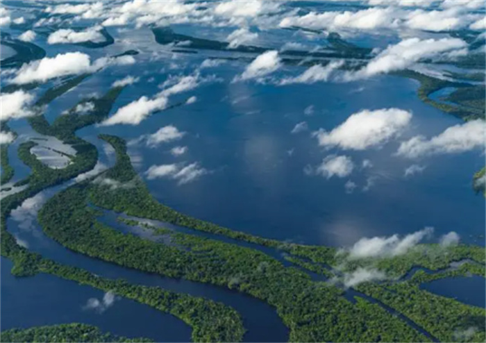 全长6440公里的亚马逊河 有何可怕之处 为何至今仍无桥可过