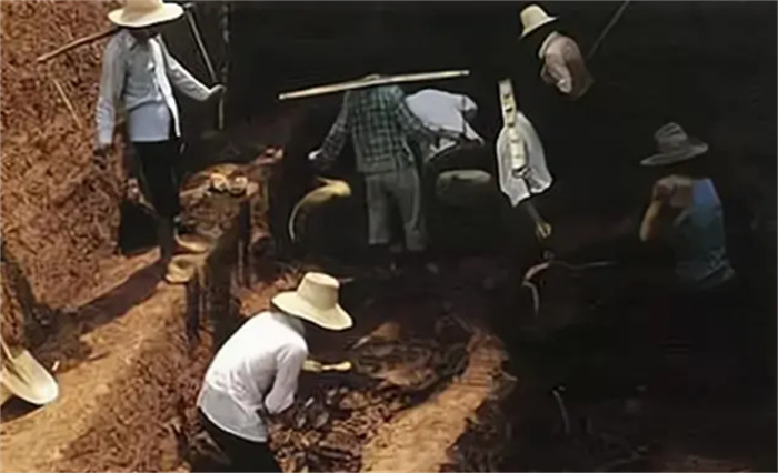2016年浙江老农盖房子挖出红棺材 专家：这是夫妻合葬双穴墓
