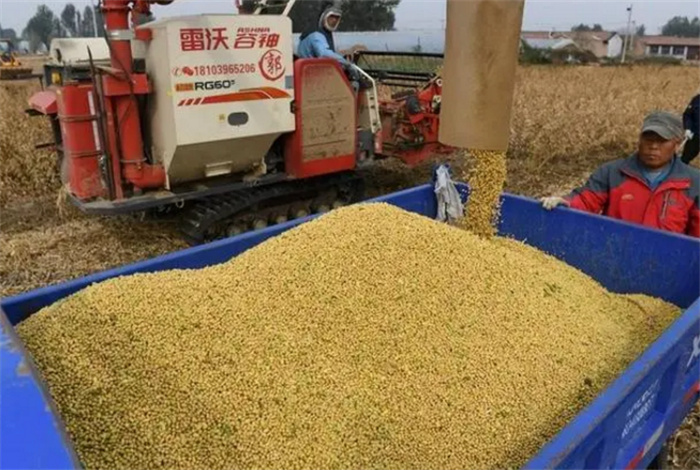 俄罗斯也种植大豆 为啥我国要从美国进口（进口大豆）