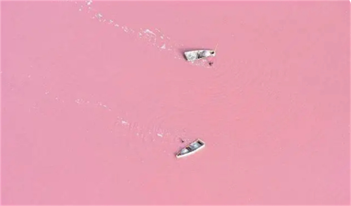 非洲死海：湖水呈粉红色 人体可悬浮 竟有鱼类 但均患侏儒症