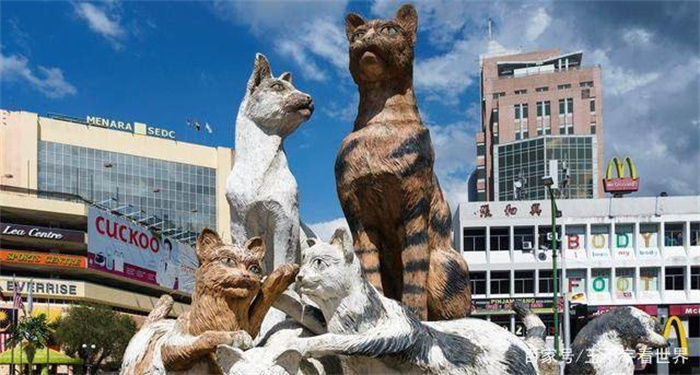 亚洲猫城：城市以猫为名 连电台都要猫咪FM 空军曾空投上万只猫
