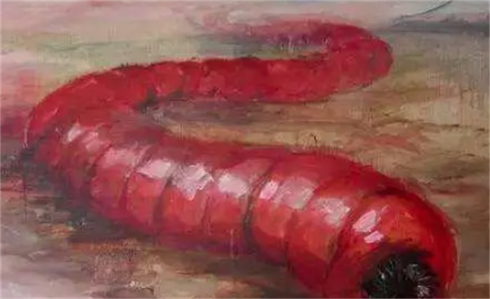 科学研究发现：蒙古死亡蠕虫可能并非传说