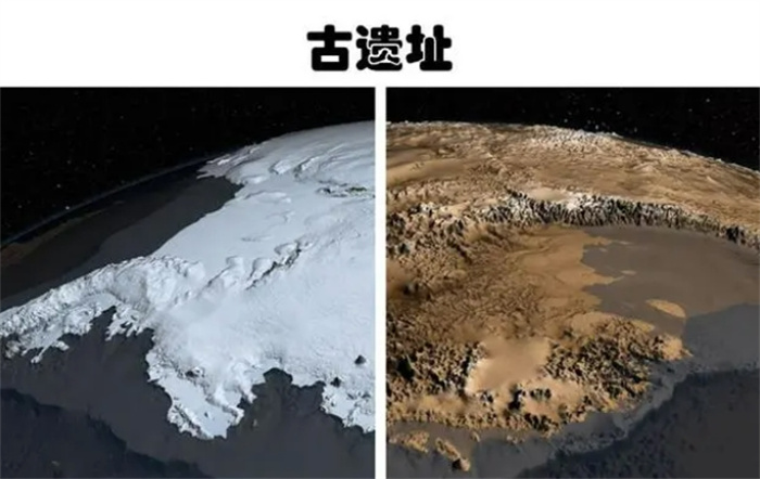 科学家在南极发现了巨型恐怖鸟化石，来自南极洲的5个奇怪发现