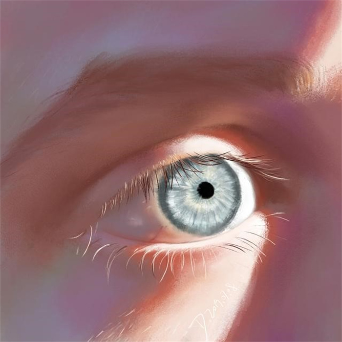 人的眼睛像素高达5.76亿 这么厉害的眼睛是怎么进化出来的呢