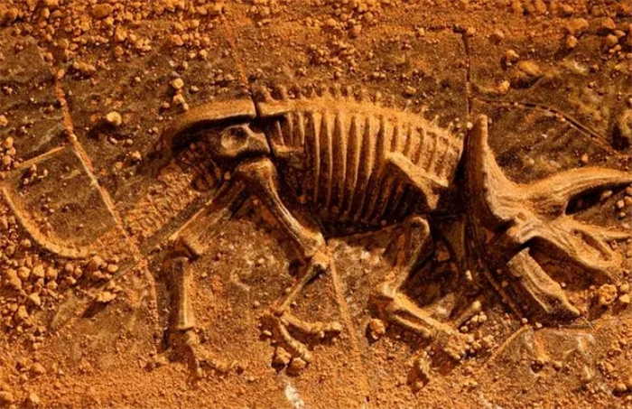 上亿年前的“现代工具”在法国发现 史前文明真的存在吗