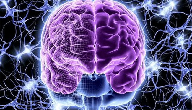 得益于发达的大脑 人类走上了霸主之位 人类的大脑还能进化吗