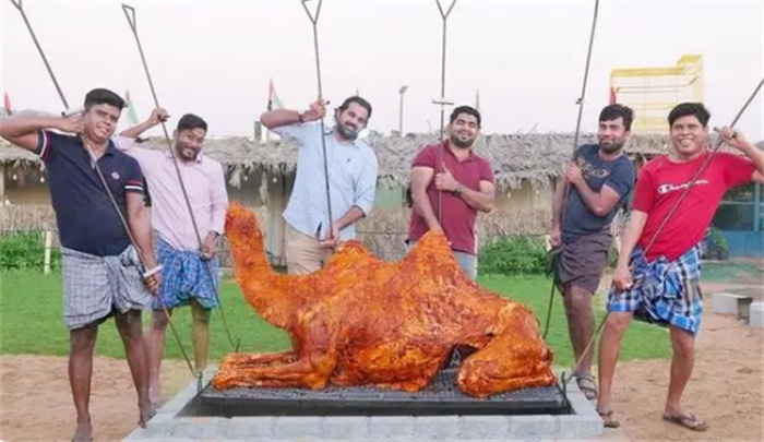 骆驼肉在国外受到欢迎 为啥中国人不吃（骆驼肉）