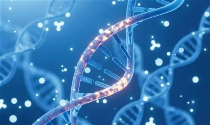 人类寿命先天决定的吗？基因技术能否突破限制，让人实现永生？