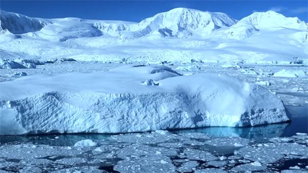 南极冰川隐藏着什么秘密 1958年南极“巨兽”事件，究竟咋回事？