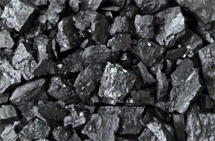 煤层厚达900米，绵延上千公里！世界最大的煤田真是植物形成的？