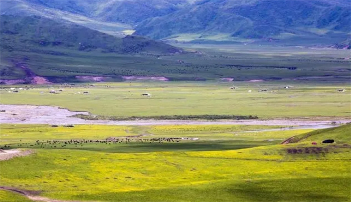 中国十大最美草原排名，新疆有两个上榜，让人去了就不想走的地方