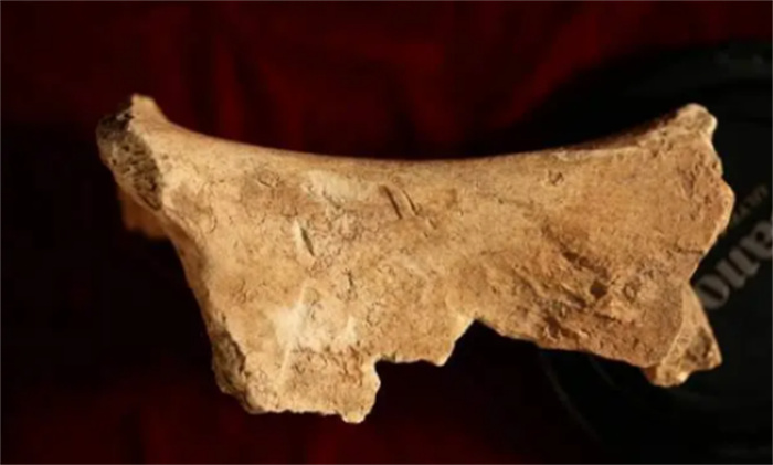 考古证实：甲骨文前有初熟文字  持续长达1300年  才演化出甲骨文