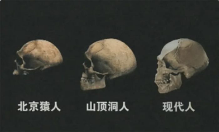 考古表明：五万年前的中国先民  或打败了非洲智人的入侵