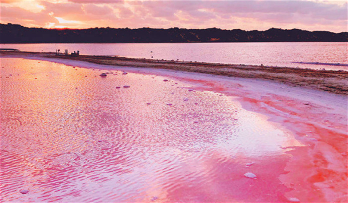 世界最浪漫的湖泊 湖面是粉红色（浪漫湖泊）