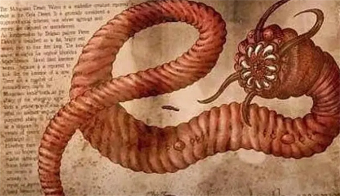 传说中的蒙古死亡蠕虫，找到它就能找到成吉思汗的宝藏