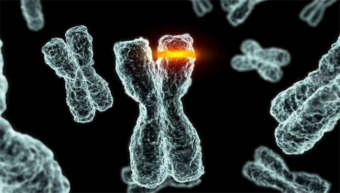 人体里居然有出轨基因 科学家揭露出轨原因（出轨基因）
