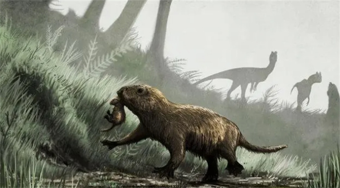 最新发现，1.25亿年前哺乳动物猎杀比自己大1倍的恐龙，颠覆认知